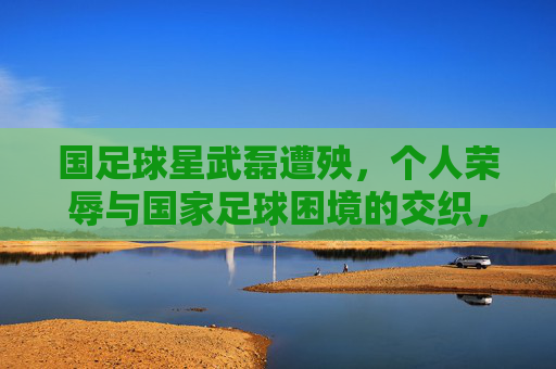 国足球星武磊遭殃，个人荣辱与国家足球困境的交织，国足球星武磊遭殃，个人荣辱与国家足球困境的交织