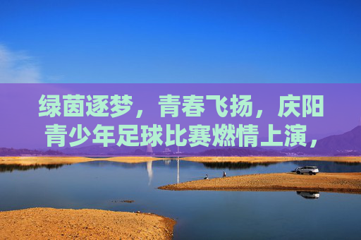 绿茵逐梦，青春飞扬，庆阳青少年足球比赛燃情上演，绿茵逐梦，青春飞扬，庆阳青少年足球比赛燃情上演
