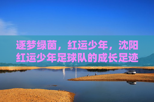 逐梦绿茵，红运少年，沈阳红运少年足球队的成长足迹与青春风采，逐梦绿茵，红运少年，沈阳红运少年足球队的成长足迹与青春风采