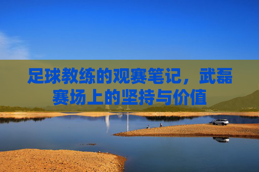 足球教练的观赛笔记,武磊赛场上的坚持与价值
