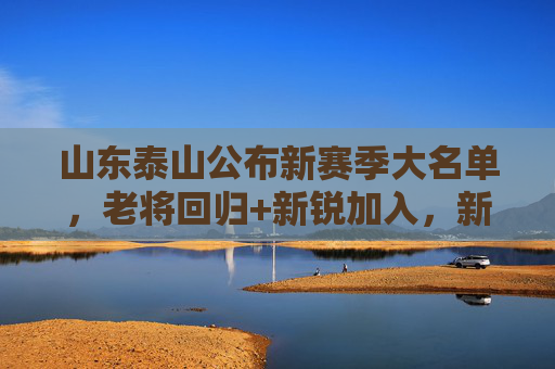 山东泰山公布新赛季大名单,老将回归+新锐加入,新赛季征途再启引球迷热议,山东泰山公布新赛季大名单,老将回归+新锐加盟,征途再启引球迷热议