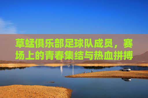 草蜢俱乐部足球队成员,赛场上的青春集结与热血拼搏