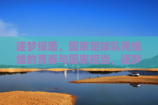 逐梦绿茵,国家足球队苑维维的青春与国家担当,逐梦绿茵,国家足球队苑维维的青春与国家担当