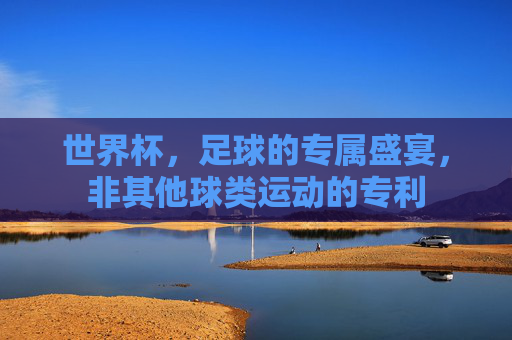 世界杯,足球的专属盛宴,非其他球类运动的专利