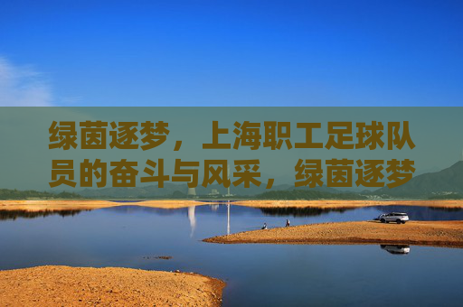 绿茵逐梦,上海职工足球队员的奋斗与风采,绿茵逐梦,上海职工足球队员的奋斗与风采