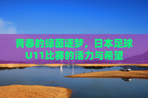 青春的绿茵逐梦,日本足球U11比赛的活力与希望