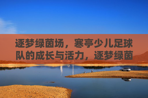 逐梦绿茵场，寒亭少儿足球队的成长与活力，逐梦绿茵场，寒亭少儿足球队的成长与活力