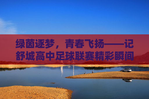 绿茵逐梦,青春飞扬——记舒城高中足球联赛精彩瞬间,绿茵逐梦,青春飞扬——记舒城高中足球联赛精彩瞬间