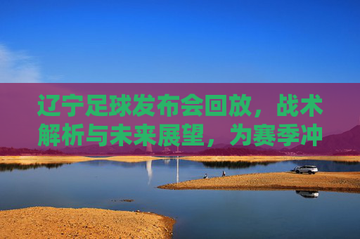 辽宁足球发布会回放,战术解析与未来展望,为赛季冲刺蓄力