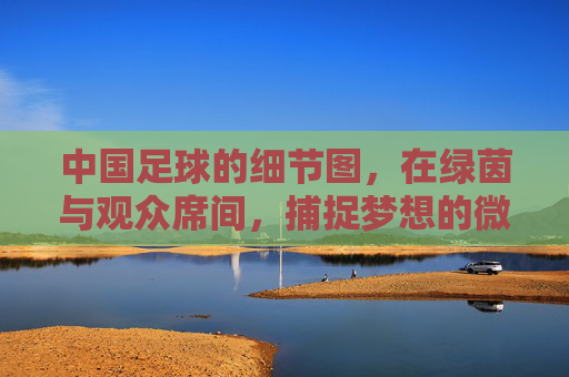 中国足球的细节图,在绿茵与观众席间,捕捉梦想的微光与坚守