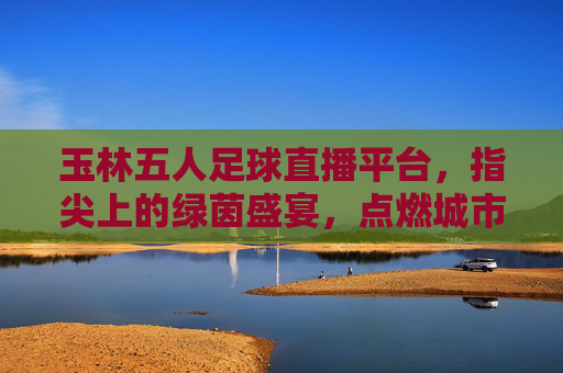 玉林五人足球直播平台,指尖上的绿茵盛宴,点燃城市足球热情