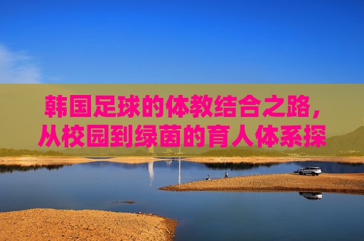 韩国足球的体教结合之路,从校园到绿茵的育人体系探索,韩国足球的体教结合之路,从校园到绿茵的育人体系探索