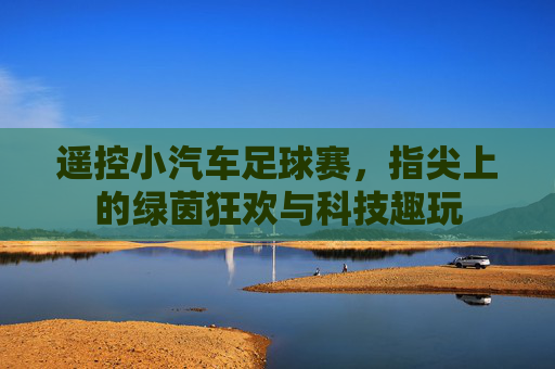 遥控小汽车足球赛,指尖上的绿茵狂欢与科技趣玩