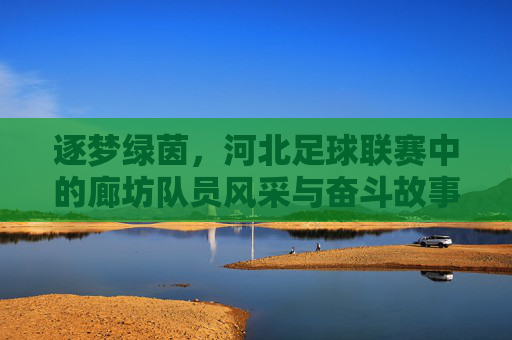 逐梦绿茵，河北足球联赛中的廊坊队员风采与奋斗故事