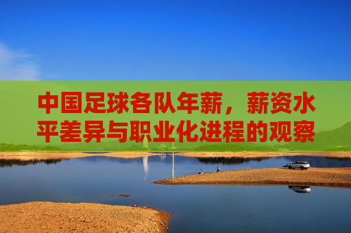 中国足球各队年薪，薪资水平差异与职业化进程的观察