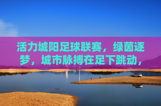 活力城阳足球联赛,绿茵逐梦,城市脉搏在足下跳动,活力城阳足球联赛,绿茵逐梦,城市脉搏在足下跳动