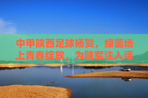 中甲陕西足球杨贺，绿茵场上青春绽放，为陕军注入活力新篇，杨贺，绿茵场上青春绽放，为陕军注入活力新篇