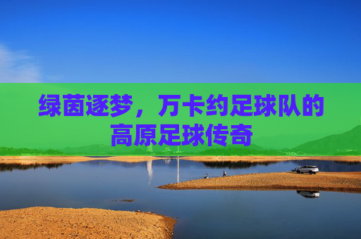 绿茵逐梦,万卡约足球队的高原足球传奇