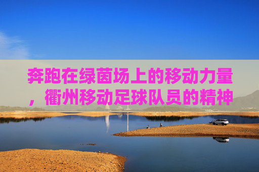 奔跑在绿茵场上的移动力量，衢州移动足球队员的精神风貌与团队风采，奔跑在绿茵场上的移动力量，衢州移动足球队员的精神风貌与团队风采