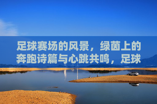 足球赛场的风景，绿茵上的奔跑诗篇与心跳共鸣，足球赛场的风景，绿茵上的奔跑诗篇与心跳共鸣
