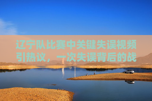 辽宁队比赛中关键失误视频引热议,一次失误背后的战术与心态反思,辽宁队关键失误视频引热议,一次失误背后的战术与心态深度反思