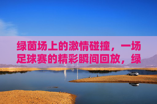 绿茵场上的激情碰撞，一场足球赛的精彩瞬间回放，绿茵场上的激情碰撞，一场足球赛的精彩瞬间回放