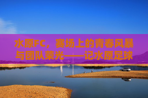 水原FC,赛场上的青春风暴与团队荣光——记水原足球队队员风采,水原FC,赛场青春风暴与团队荣光——队员风采记