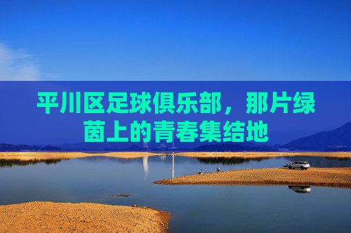 平川区足球俱乐部,那片绿茵上的青春集结地