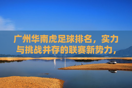 广州华南虎足球排名,实力与挑战并存的联赛新势力,广州华南虎足球排名,实力与挑战并存的联赛新势力