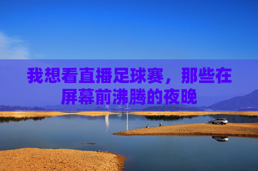 我想看直播足球赛，那些在屏幕前沸腾的夜晚