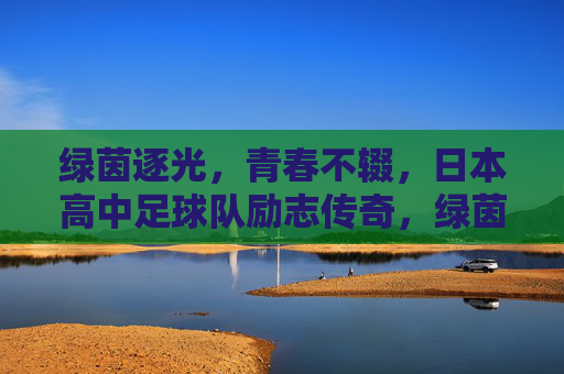 绿茵逐光，青春不辍，日本高中足球队励志传奇，绿茵逐光，青春不辍，日本高中足球队励志传奇