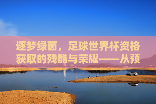 逐梦绿茵，足球世界杯资格获取的残酷与荣耀——从预选赛到决赛圈的荆棘之路，逐梦绿茵，足球世界杯资格获取的残酷与荣耀——从预选赛到决赛圈的荆棘之路