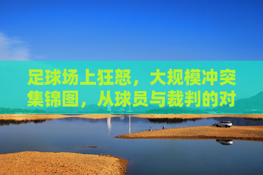 足球场上狂怒,大规模冲突集锦图,从球员与裁判的对峙到观众与球员的冲突,赛场暴力如何侵蚀体育精神,足球场上冲突狂怒集锦,从球员与裁判对峙到观众冲突,赛场暴力侵蚀体育精神