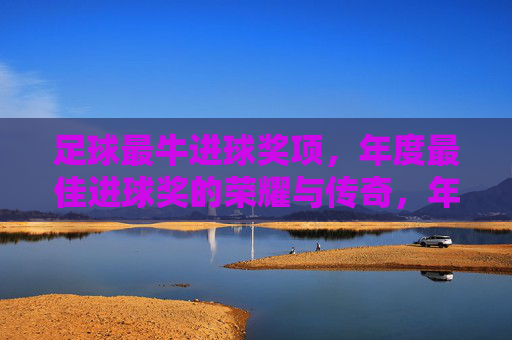 足球最牛进球奖项,年度最佳进球奖的荣耀与传奇,年度最佳进球奖,足球最牛进球的荣耀与传奇