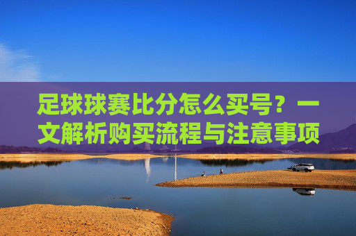 足球球赛比分怎么买号?一文解析购买流程与注意事项,足球球赛比分买号指南,购买流程与注意事项一文解析