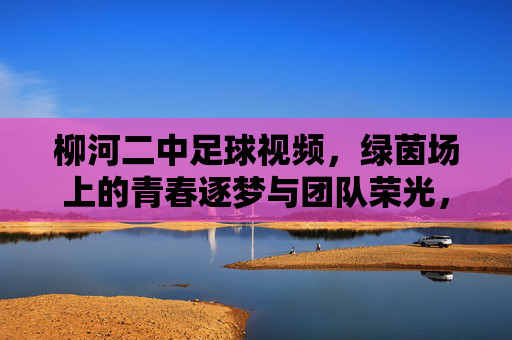 柳河二中足球视频,绿茵场上的青春逐梦与团队荣光,柳河二中足球视频,绿茵场上的青春逐梦与团队荣光