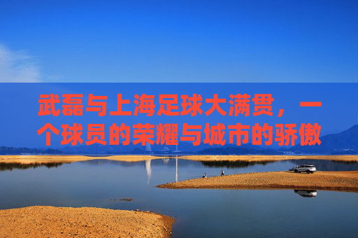 武磊与上海足球大满贯，一个球员的荣耀与城市的骄傲，武磊与上海足球大满贯，一个球员的荣耀与城市的骄傲