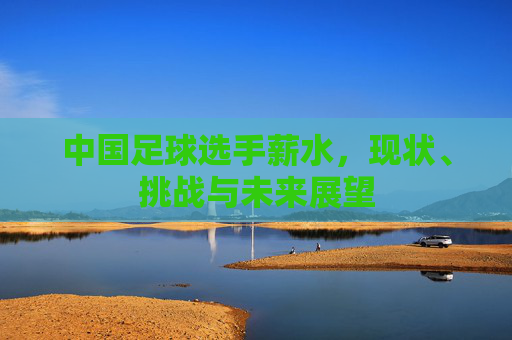 中国足球选手薪水,现状、挑战与未来展望
