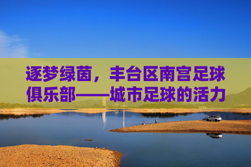 逐梦绿茵,丰台区南宫足球俱乐部——城市足球的活力引擎与青春绽放