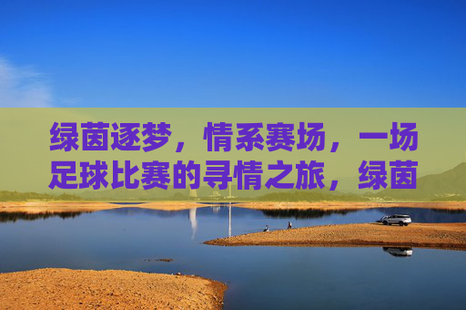 绿茵逐梦,情系赛场,一场足球比赛的寻情之旅,绿茵逐梦,情系赛场,一场足球比赛的寻情之旅