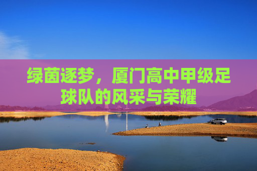 绿茵逐梦，厦门高中甲级足球队的风采与荣耀
