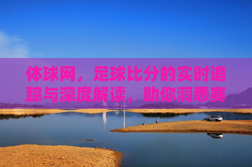 体球网,足球比分的实时追踪与深度解读,助你洞悉赛场风云
