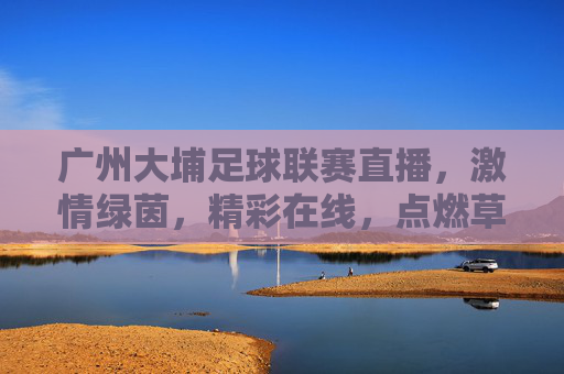 广州大埔足球联赛直播，激情绿茵，精彩在线，点燃草根足球的社区热情，广州大埔足球联赛直播，激情绿茵，精彩在线，点燃草根足球的社区热情