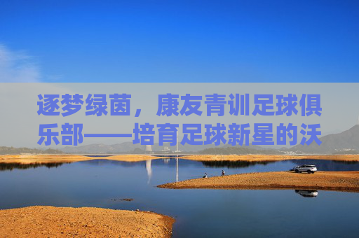 逐梦绿茵,康友青训足球俱乐部——培育足球新星的沃土与希望