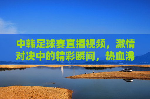中韩足球赛直播视频，激情对决中的精彩瞬间，热血沸腾的赛场盛宴，中韩足球赛直播，激情对决中的精彩瞬间，热血沸腾的赛场盛宴