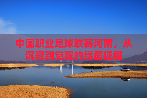 中国职业足球联赛河南,从沉寂到觉醒的绿茵征程