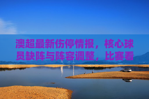 澳超最新伤停情报,核心球员缺阵与阵容调整,比赛看点解析