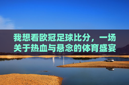 我想看欧冠足球比分,一场关于热血与悬念的体育盛宴