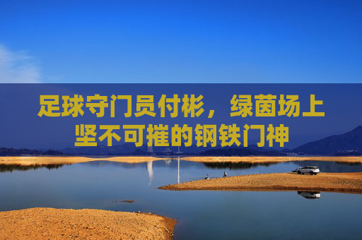 足球守门员付彬，绿茵场上坚不可摧的钢铁门神