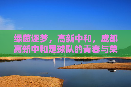 绿茵逐梦,高新中和,成都高新中和足球队的青春与荣耀